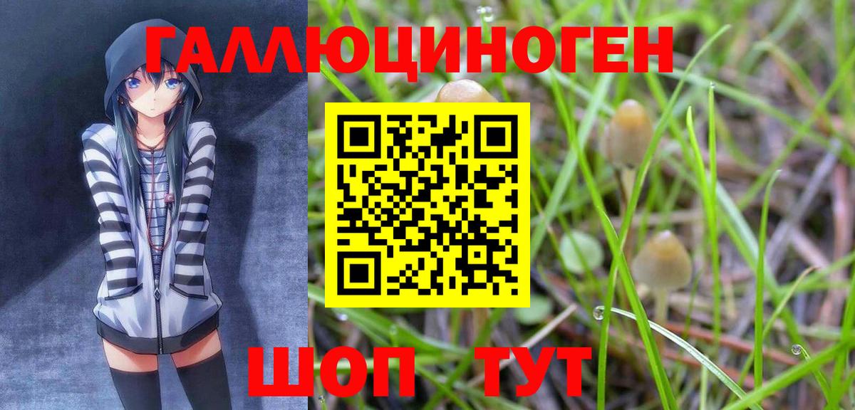 Галлюциногенные грибы мицелий  Вход с VPN  закладка  Галлюциногенные грибы мухоморы  Югорск 