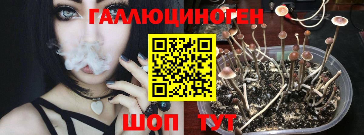 Галлюциногенные грибы мицелий Югорск